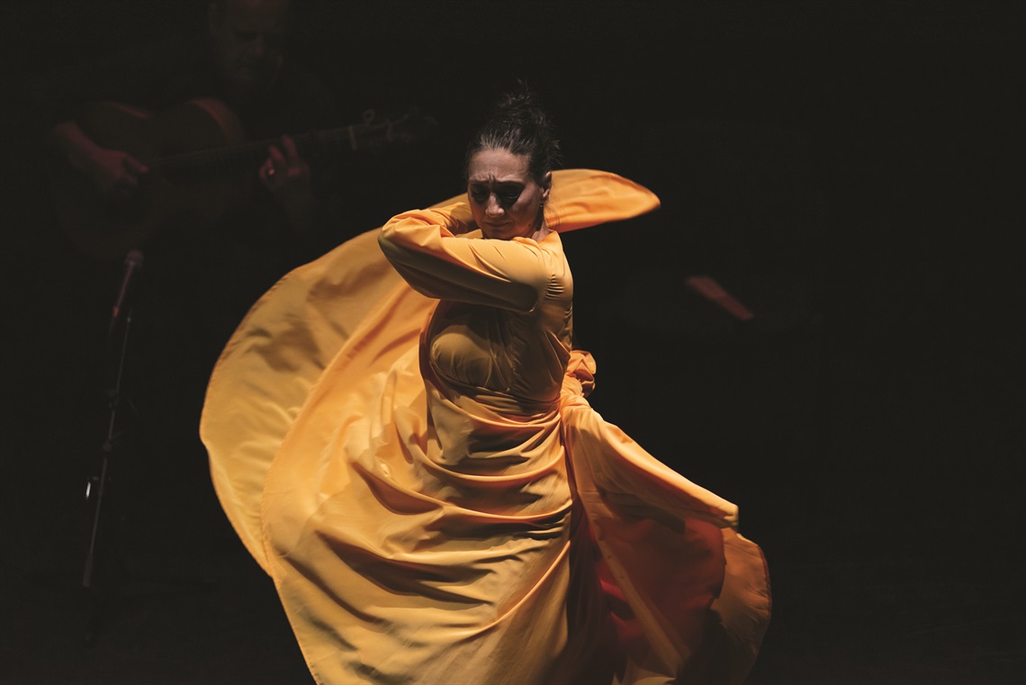 Hi-Res_Martin Ollman PhotoFlamenco for Everybody_1228 copy.JPG